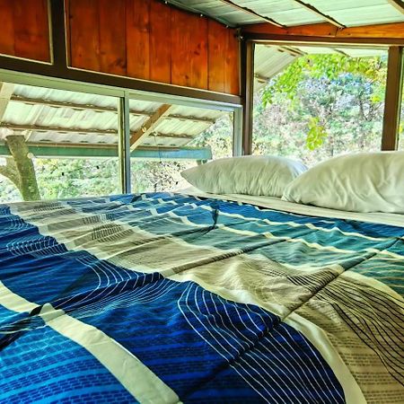 Cabana Treehouse Mountain View San Isidro  エクステリア 写真