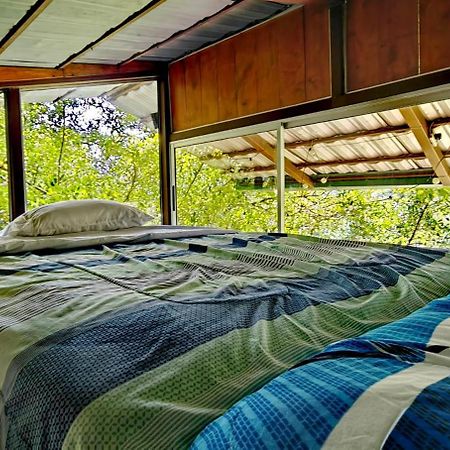 Cabana Treehouse Mountain View San Isidro  エクステリア 写真