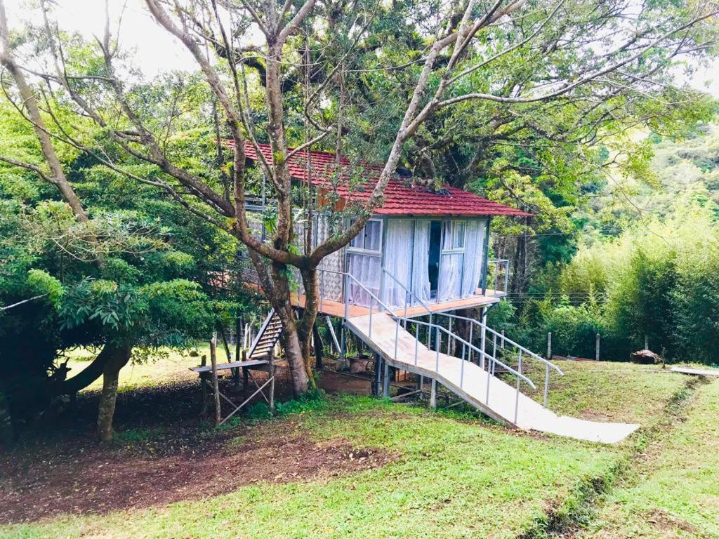 Cabana Treehouse Mountain View San Isidro  エクステリア 写真