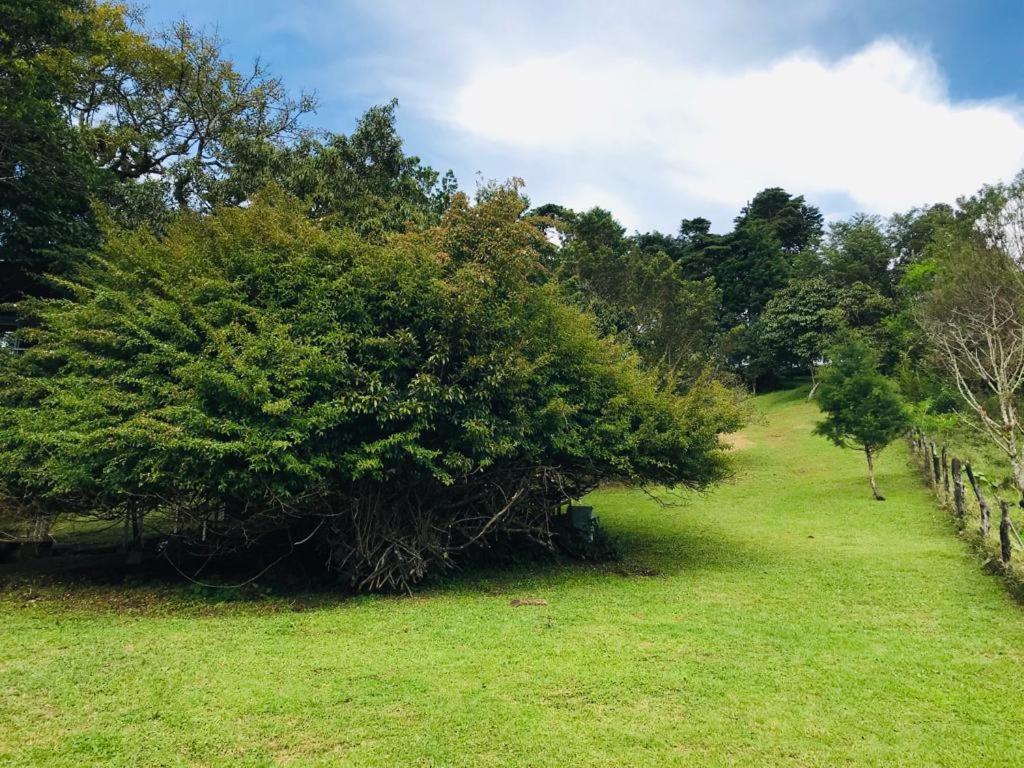 Cabana Treehouse Mountain View San Isidro  エクステリア 写真