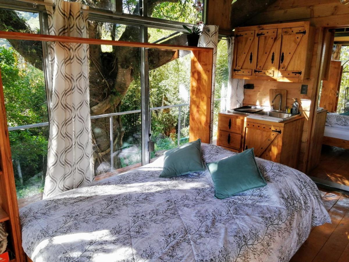 Cabana Treehouse Mountain View San Isidro  エクステリア 写真
